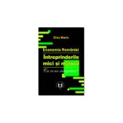 Economia Romaniei. Intreprinderile mici si mijlocii. Cu ce ne integram?