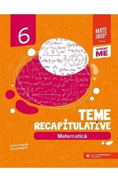 Matematica - Clasa 6 - Teme recapitulative de Anton Negrila