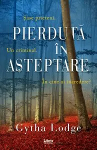 Pierduta in asteptare de Gytha Lodge