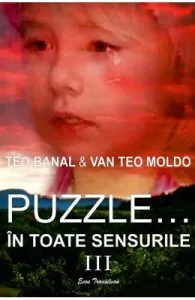 Puzzle... in toate sensurile Vol. 3 de Van Teo Moldo