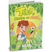 Taf si misterul din piatra de Aurora Dulea