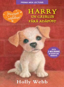 Harry, un catelus fara adapost.