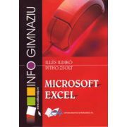 Microsoft Excel