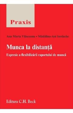 Munca la distanta