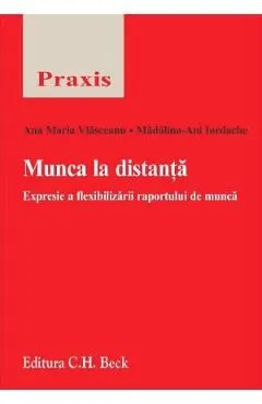 Munca la distanta