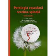 Patologia vasculara cerebro-spinala, curs practic