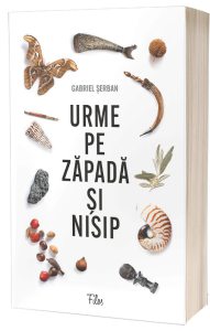Urme pe zapada si nisip