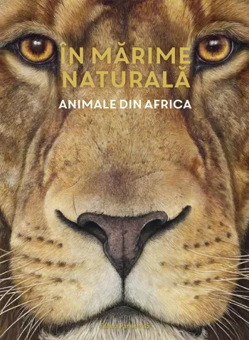 ÎN MARIME NATURALĂ. Animale din Africa (ediție hardcover)