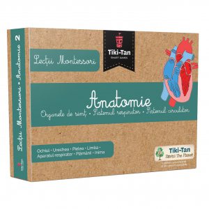 Lectii Montessori - Anatomie