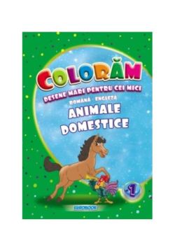 Animale domestice. Desene mari pentru cei mici română-engleză