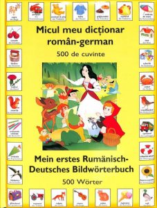 Micul meu dictionar Roman-German