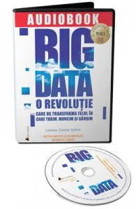Audiobook. Big Data de Viktor Mayer-Schonberger