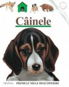 Cainele