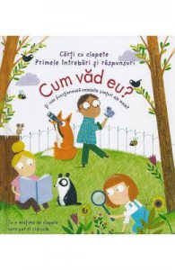 Cum vad eu? Si cum functioneaza celelalte simturi ale mele?