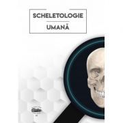 Scheletologie umana