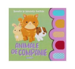 Sunete și senzații tactile. Animale de companie