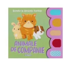 Sunete și senzații tactile. Animale de companie