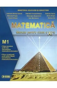 Matematica cls 11 M1 de Gheorghe Stoianovici