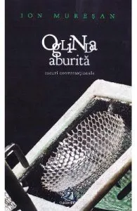 Oglinda aburita de Ion Muresan