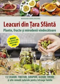 Leacuri din Tara Sfanta de Mariana Borloveanu
