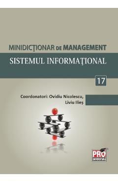 Minidictionar de management 17: Sistemul informational