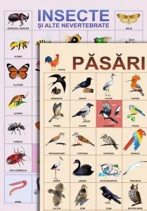 Planșe - Păsări, insecte și alte nevertebrate de Ala Bujor