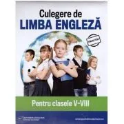Culegere de limba engleza pentru clasele 5-8- Daniela Stefania Ionescu de Daniela Stefania Ionescu