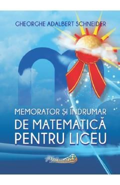 Memorator si indrumar de matematica pentru liceu