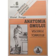 Anatomia omului. Viscerele toracelui. 6