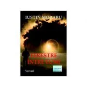 Ferestre intre lumi de Iustin Moraru