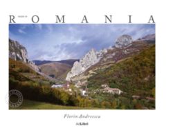 Made in Romania (română)