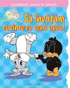 Sa invatam cuvinte cu sens opus!