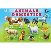 Animale domestice﻿ de Titus Stirbu