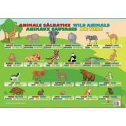 Animale Salbatice