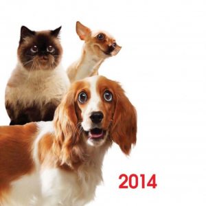 Calendar de birou 2014 cu caini si pisici