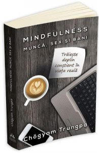 Mindfulness: munca, sex si bani