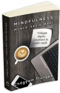 Mindfulness: munca, sex si bani de Chogyam Trungpa