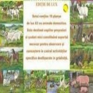 Set Planse Animale Domestice