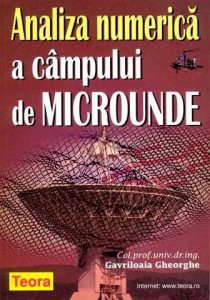 Analiza numerica a campului de microunde