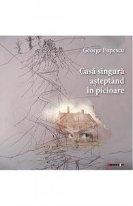 Casa singura asteptand in picioare
