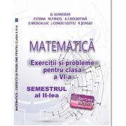 Matematica. Exercitii si probleme clasa a 6-a Semestrul al 2-lea