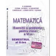 Matematica. Exercitii si probleme clasa a 6-a Semestrul al 2-lea de Delia Schneider