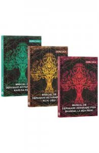 Pachet Reiki