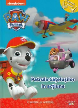 Patrula Catelusilor in actiune. O poveste cu activitati