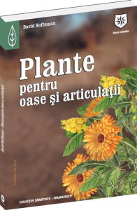 Plante pentru oase si articulatii