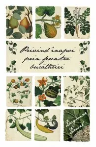 Privind inapoi prin fereastra bucatariei de Dagmar Dusil
