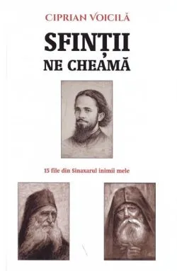 Sfinții ne cheamă de Ciprian Voicila