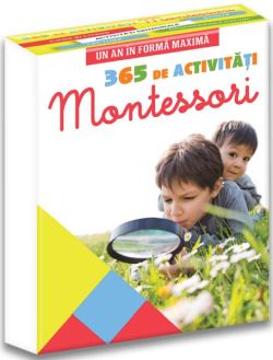 Studii despre reprezentările alchimice (Vol. 13)
