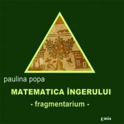 Matematica ingerului. Fragmentarium