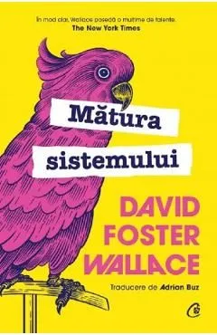 Matura sistemului de David Foster Wallace